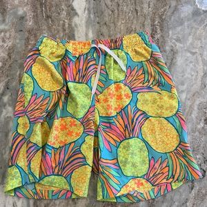 Chubbies Men’s Bathing Suit - Large